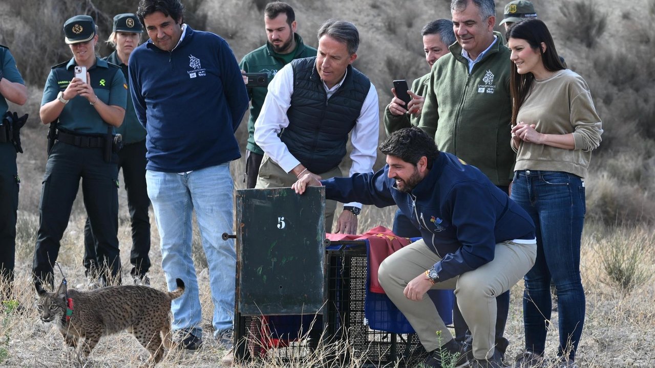 El presidente del Gobierno regional, Fernando López Miras, participa en la suelta de dos nuevos ejemplares de lince ibérico en las Tierras Altas de Lorca (foto: CARM)