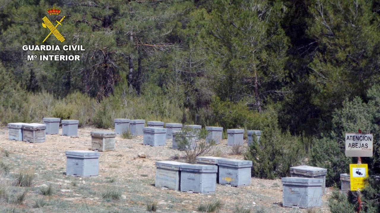 Imagen de una de las explotaciones apícolas (foto: GC)