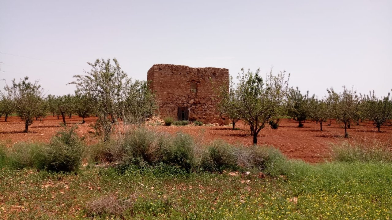 Una vista de la Torre del Moro y su entorno.