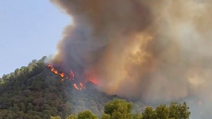 Incendio en la zona de La Balsa del Valle Perdido de Murcia (foto: @FutureHistoria1 en la red social X)