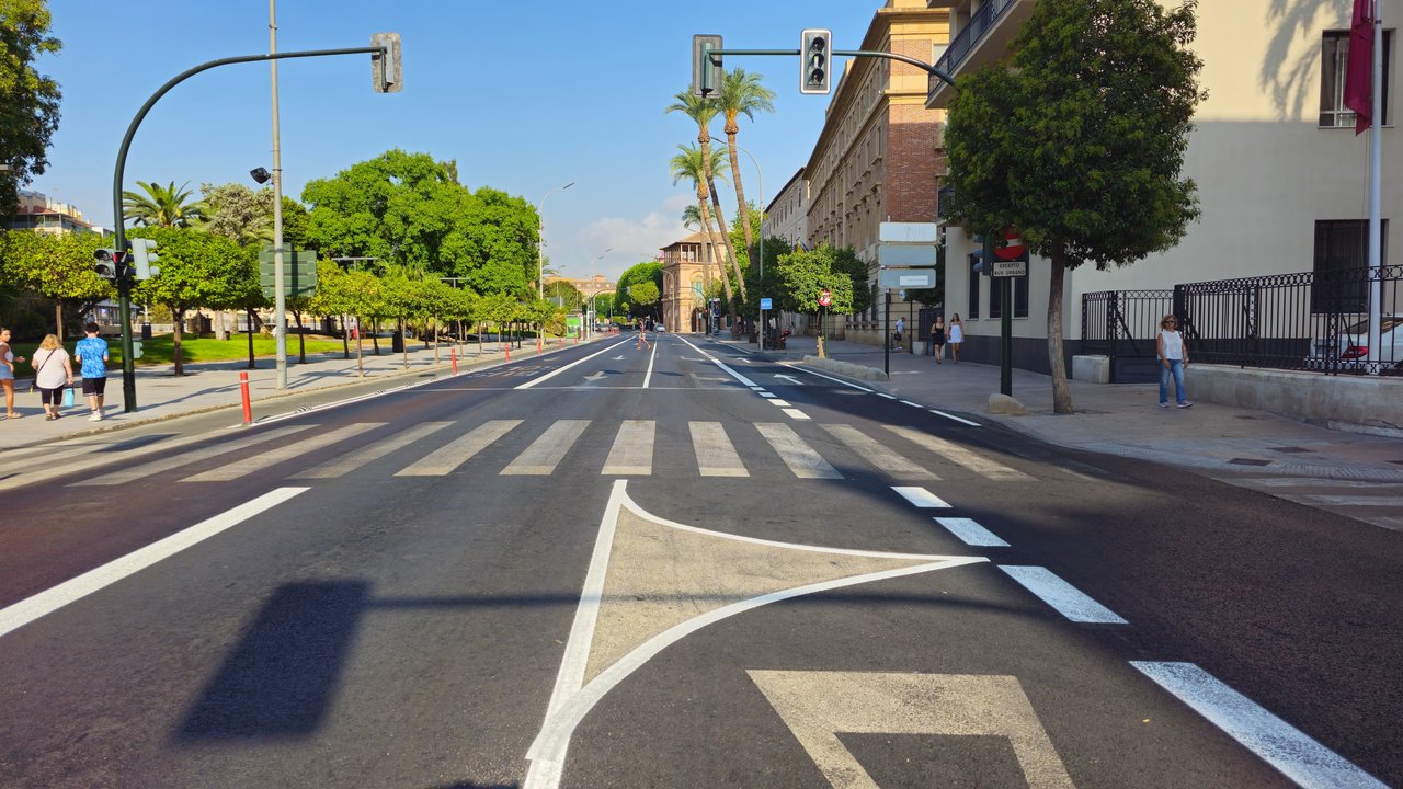 AVENIDA TENIENTE FLOMESTA