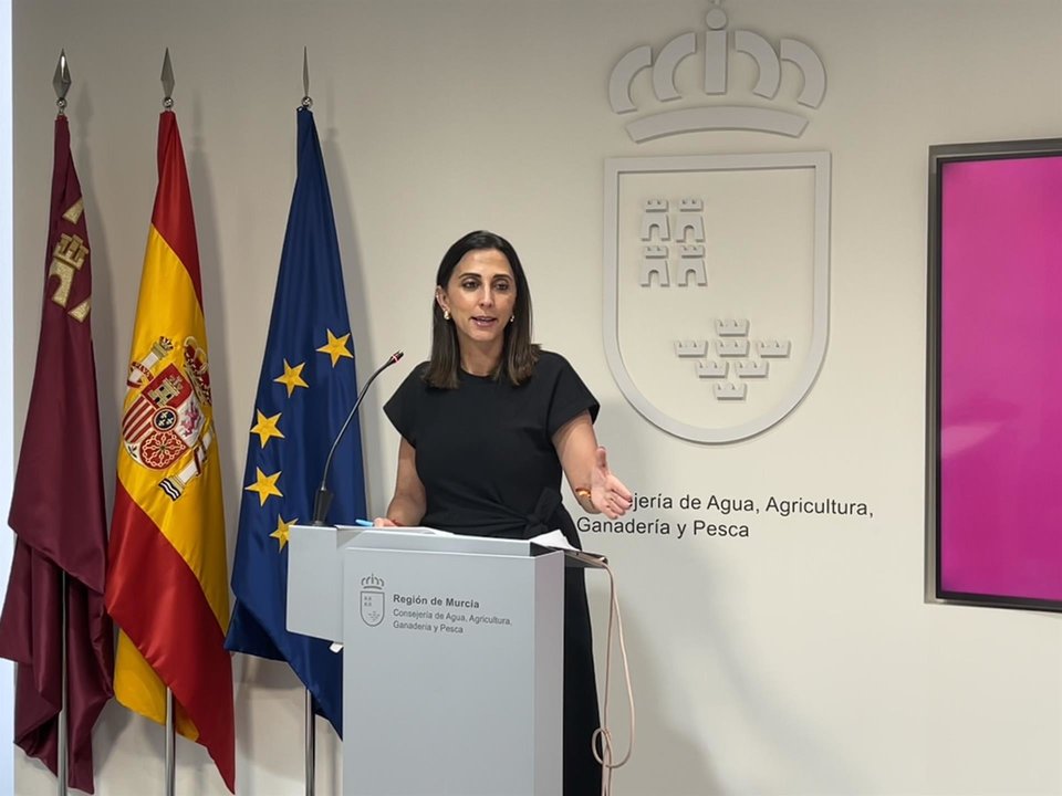 La consejera de Agua, Agricultura, Ganadería y Pesca, Sara Rubira, en la rueda de prensa previa a la celebración de la Conferencia Sectorial - CARM