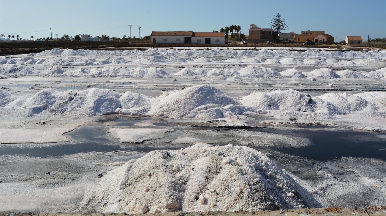 Primera cosecha de sal en las salinas de Marchamalo (foto: ANSE)