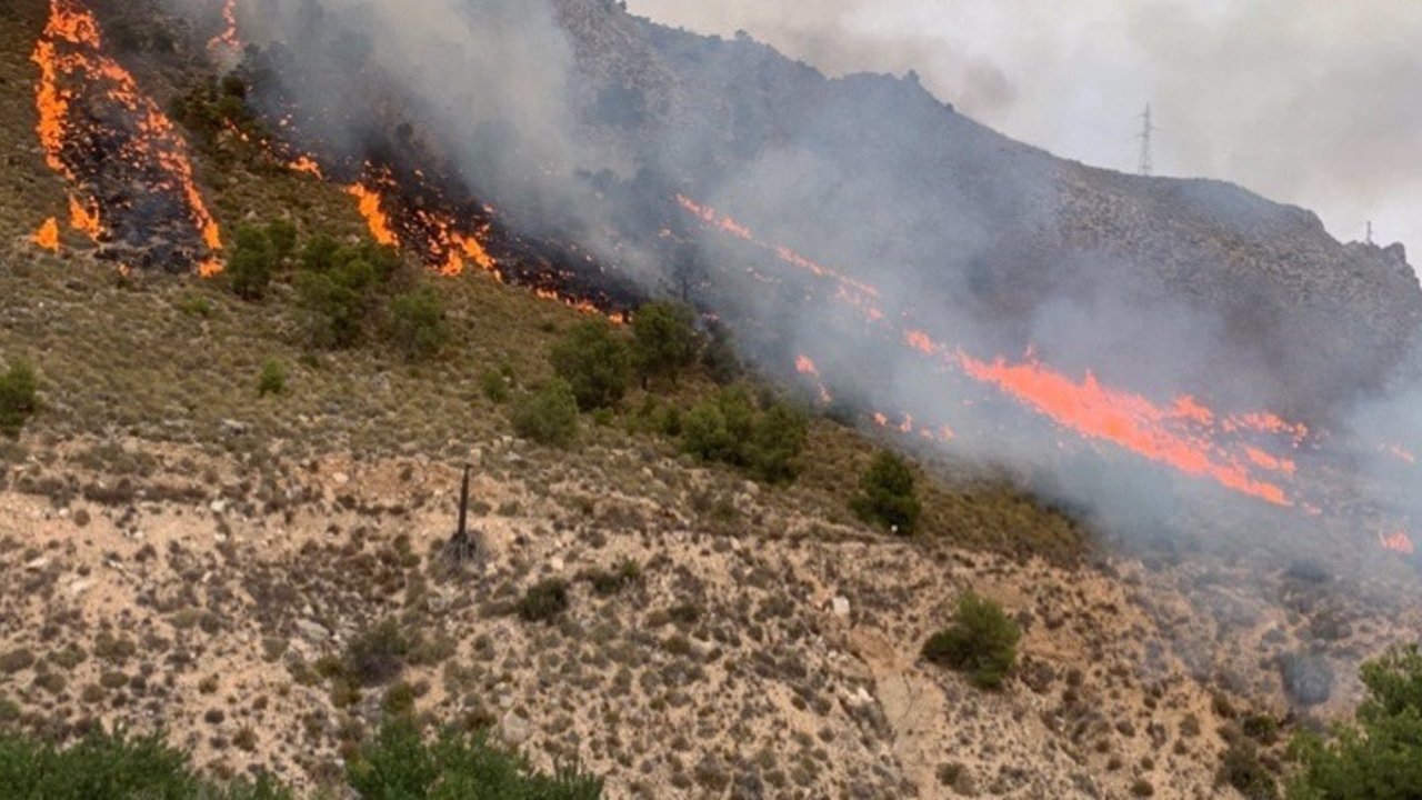 Imagen de archivo del incendio en Ojós del pasado mes de junio (foto: 112 Región de Murcia)