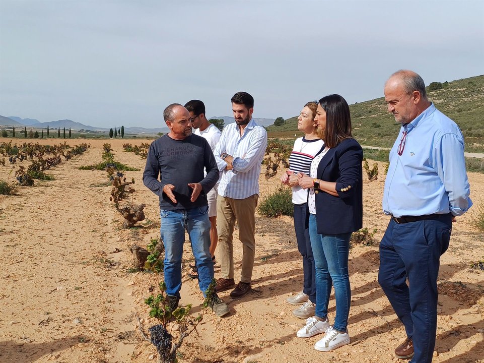 La consejera Sara Rubira visita un cultivo de viñedo en Jumilla (foto: CARM)