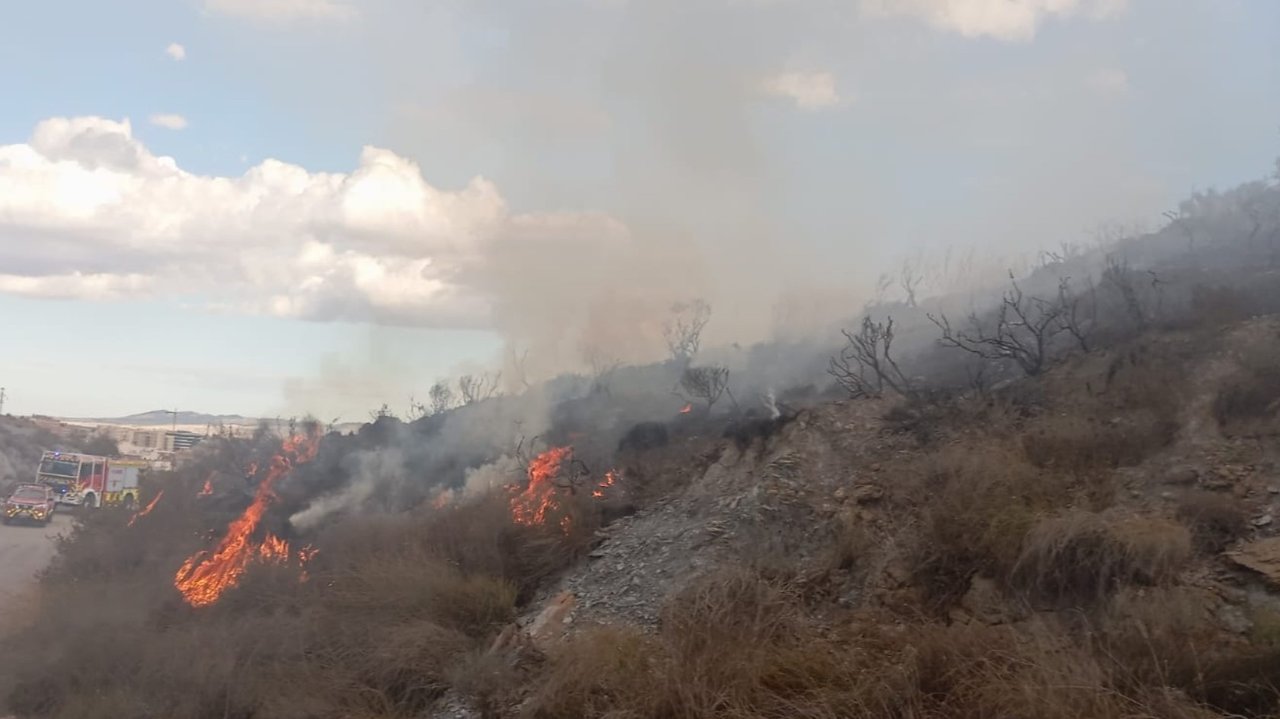 Incendio en una rambla de Lorca (foto: 1-1-2)