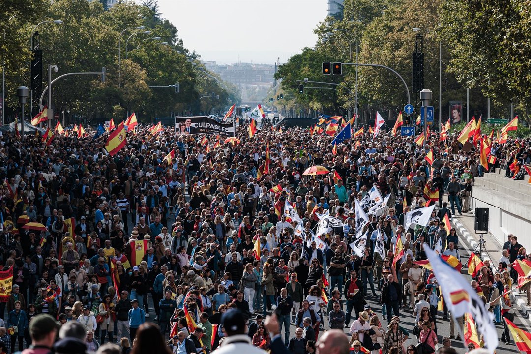 Miles de personas durante una concentración para pedir elecciones generales, en la Plaza de Castilla. La protesta está convocada por la Plataforma por la España Constitucional, constituida por un centenar de asociaciones cívicas - Carlos Luján