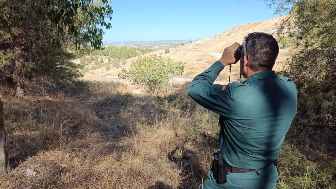 Dispositivo de búsqueda de la Guardia Civil